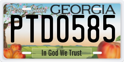 GA license plate PTD0585