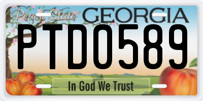 GA license plate PTD0589