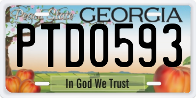 GA license plate PTD0593