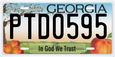 GA license plate PTD0595