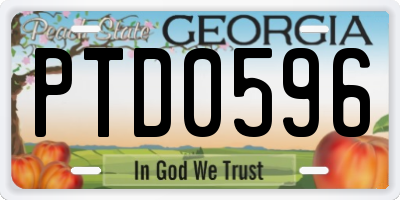 GA license plate PTD0596