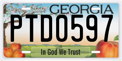 GA license plate PTD0597