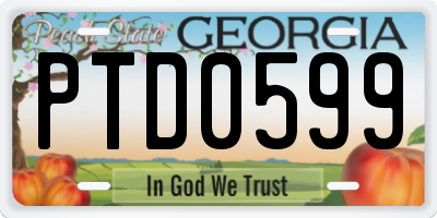 GA license plate PTD0599