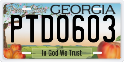 GA license plate PTD0603