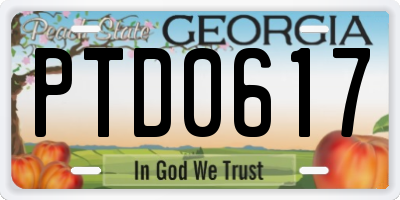 GA license plate PTD0617