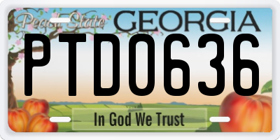 GA license plate PTD0636