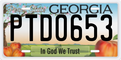 GA license plate PTD0653