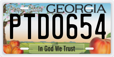 GA license plate PTD0654