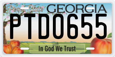 GA license plate PTD0655