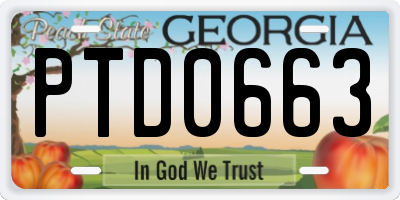 GA license plate PTD0663
