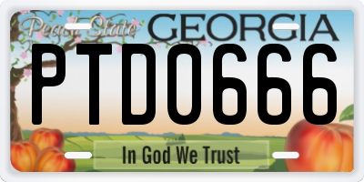 GA license plate PTD0666