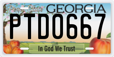GA license plate PTD0667