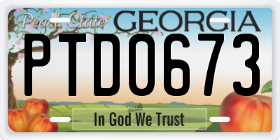 GA license plate PTD0673