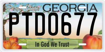 GA license plate PTD0677