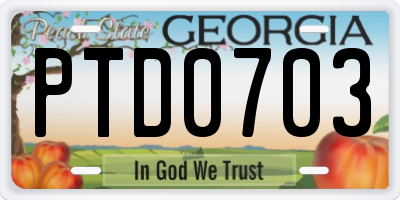 GA license plate PTD0703