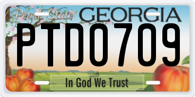GA license plate PTD0709