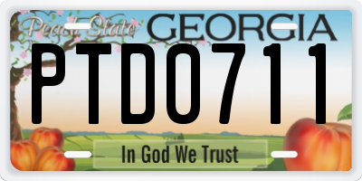 GA license plate PTD0711