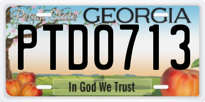 GA license plate PTD0713
