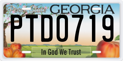 GA license plate PTD0719
