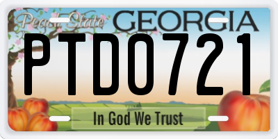 GA license plate PTD0721
