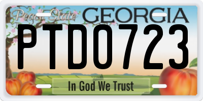 GA license plate PTD0723