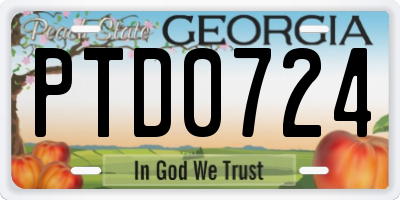 GA license plate PTD0724