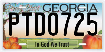 GA license plate PTD0725