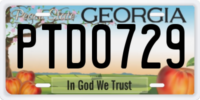 GA license plate PTD0729