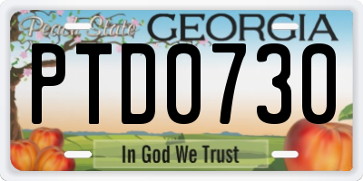 GA license plate PTD0730