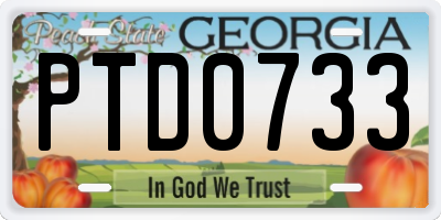 GA license plate PTD0733