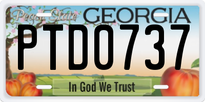 GA license plate PTD0737