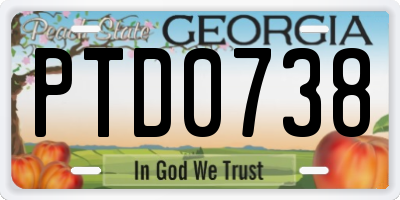 GA license plate PTD0738