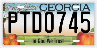 GA license plate PTD0745