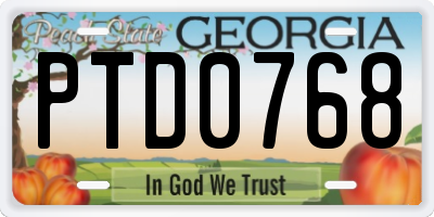 GA license plate PTD0768