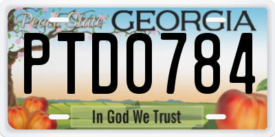 GA license plate PTD0784