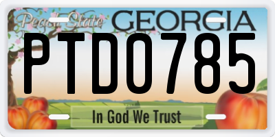 GA license plate PTD0785