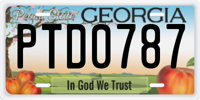 GA license plate PTD0787