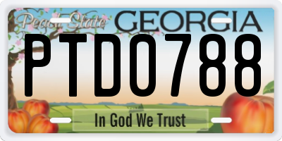 GA license plate PTD0788