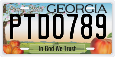 GA license plate PTD0789