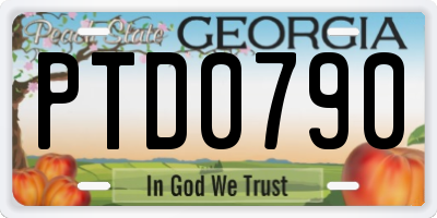 GA license plate PTD0790