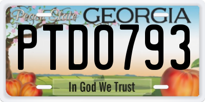 GA license plate PTD0793