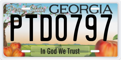 GA license plate PTD0797