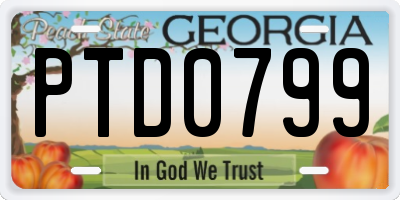 GA license plate PTD0799