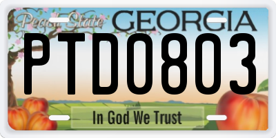 GA license plate PTD0803