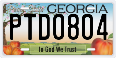 GA license plate PTD0804
