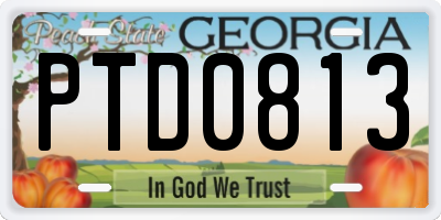 GA license plate PTD0813