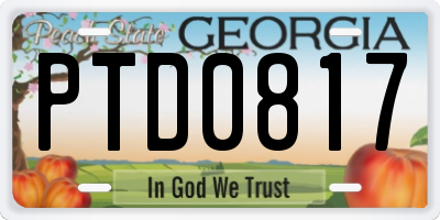 GA license plate PTD0817