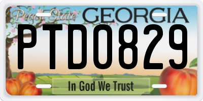 GA license plate PTD0829
