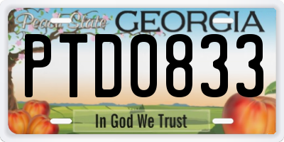 GA license plate PTD0833