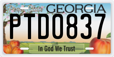 GA license plate PTD0837